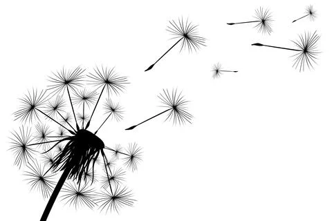Dandelion fluff flies away from the wind. Stock Illustration