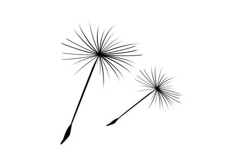 Dandelion fluff flies away from the wind. Stock Illustration