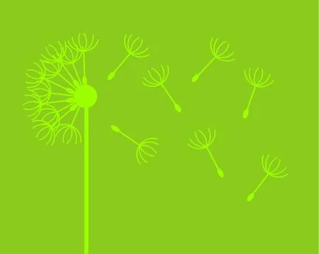 Dandelion with flying fluffs silhouette. Vector isolated. Stock Illustration