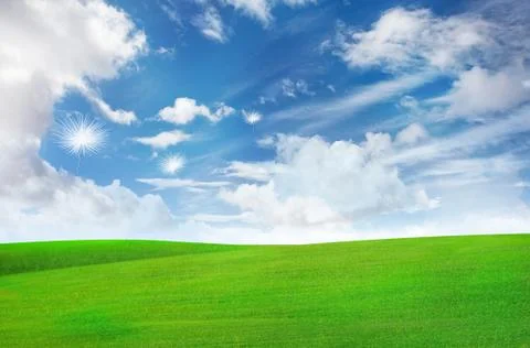 Dandelion flying over grass plain under blue sky Stock Illustration