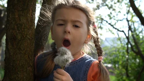 Dandelion Stock Footage 129603598