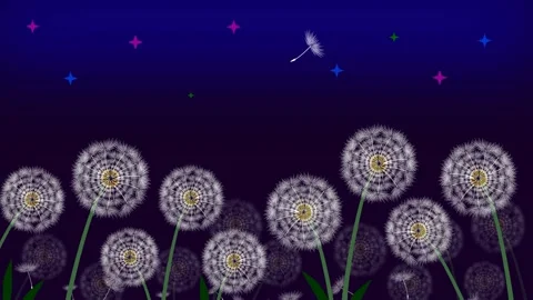 Dandelion Stock Footage 136462505