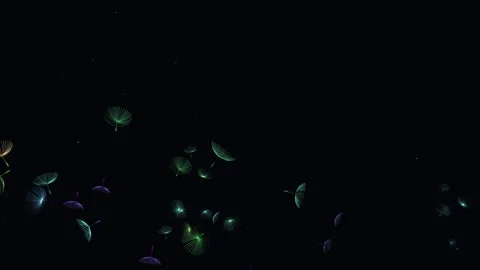 Dandelion Stock-Footage 249456045