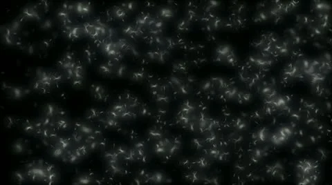 Dandelion glow Stock Footage