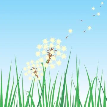 Dandelion in the grass Stock Illustration
