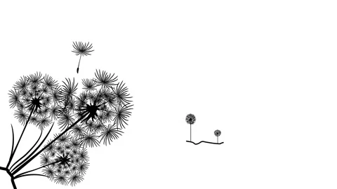 Dandelion with grass on transparent background. Dandelion with Alfa channel 4K Stock Footage 130316000