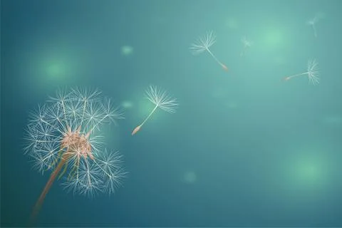 Dandelion in Green horizontal blur backdrop. Bokeh light on summer season Stock Illustration