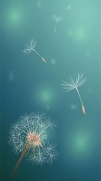 Dandelion in Green horizontal blur backdrop. Bokeh light on summer season Stock Illustration