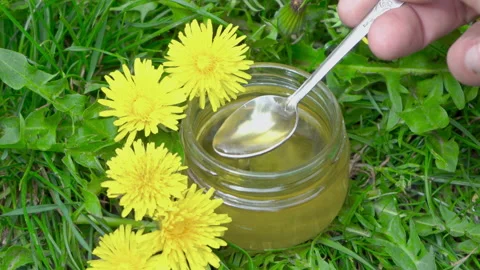 Dandelion honey Stock Footage 143905201