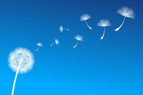 Dandelion Stock Illustration