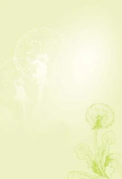 Dandelion Stock Illustration