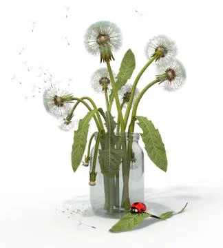 Dandelion. Stock Illustration