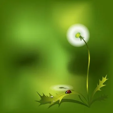 Dandelion Stock Illustration