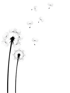 Dandelion Stock Illustration