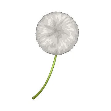 Dandelion illustration Stock Illustration