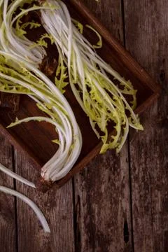 Dandelion leaves Stock Photos