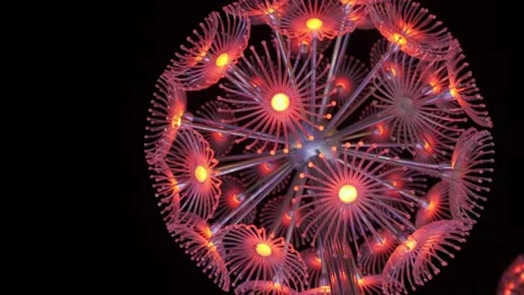 Dandelion light Stock Footage 131507617