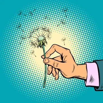 Dandelion in a man hand Stock Illustration