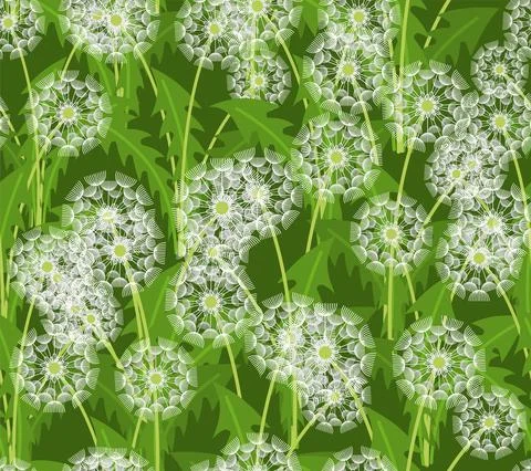 Dandelion pattern seamless. blowball background. flowers texture Stock Illustration