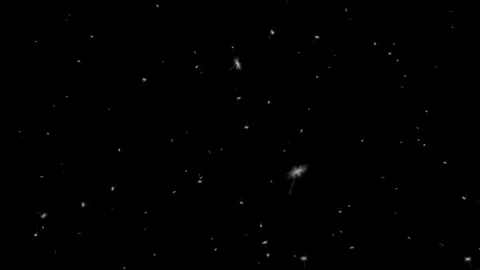 Dandelion Petals Alpha-Channel Video stock 71963653