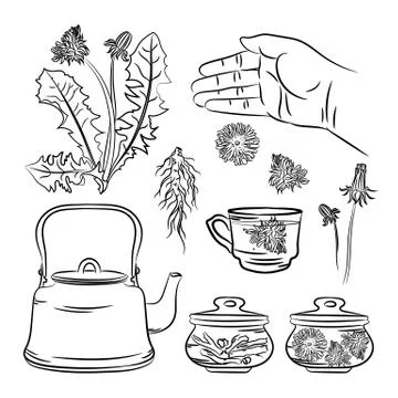 DANDELION PHARMACY APPLICATION Benefits Vector Illustration Set Stock Illustration