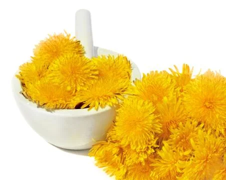 Dandelion Stock Photos
