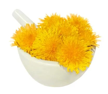 Dandelion Stock Photos