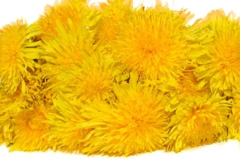 Dandelion Stock Photos