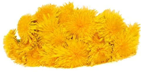 Dandelion Stock Photos