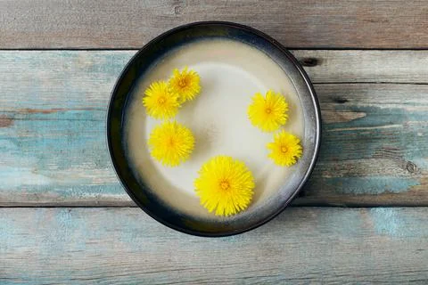 Dandelion Stock Photos