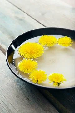 Dandelion Stock Photos