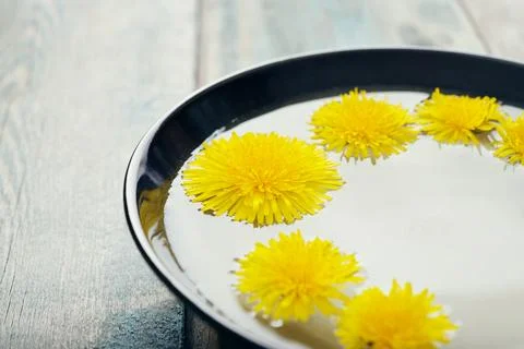 Dandelion Stock Photos
