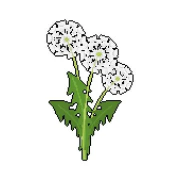 Dandelion pixel art. 8 bit blowball flower vector illustration Stock Illustration