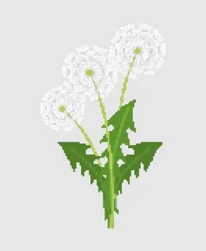 Dandelion pixel art. 8 bit blowball flower vector illustration Stock Illustration