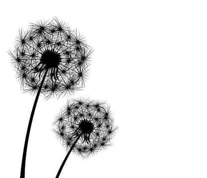 Dandelion, plant 1 Illustrazione stock
