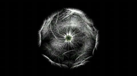 Dandelion playground ,looping Stock Footage 304754