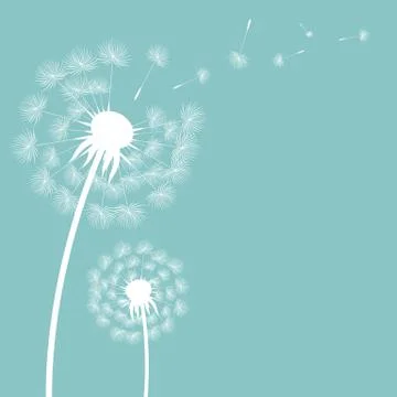 Dandelion Postcard Stock Illustration