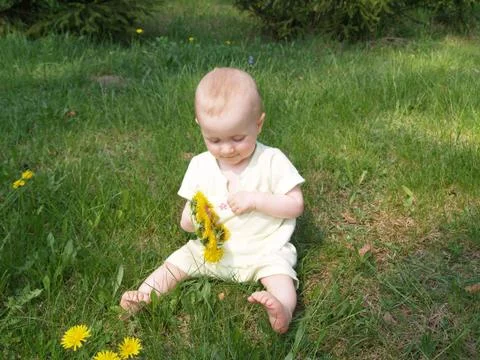 Dandelion princess Foto stock