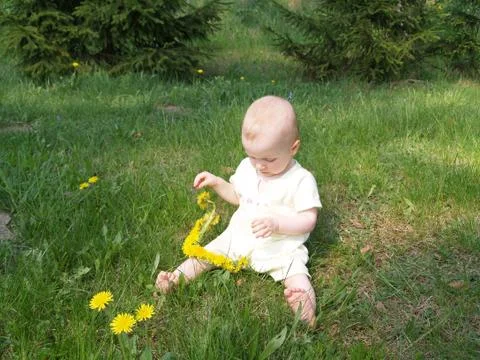 Dandelion princess Foto stock