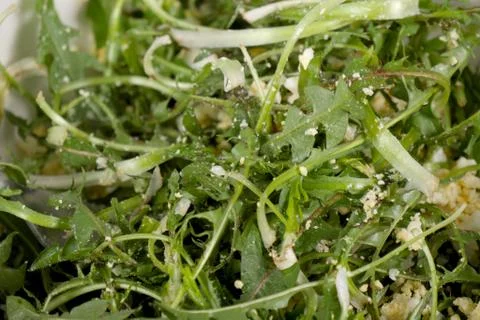 Dandelion salad, close-up Stock Photos