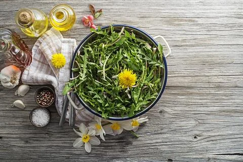 Dandelion salad with dressing Stock Photos