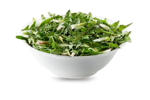 Dandelion salad Stock Photos
