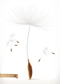 Dandelion seeds, 3d vector icon Stock Illustration