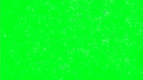 Dandelion Seeds And Cloud On Green Screen Stock Footage 102282191