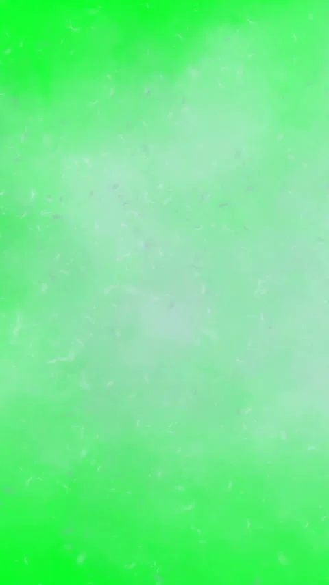 Dandelion seeds and cloud on green screen vertical video Stock Footage 246185189