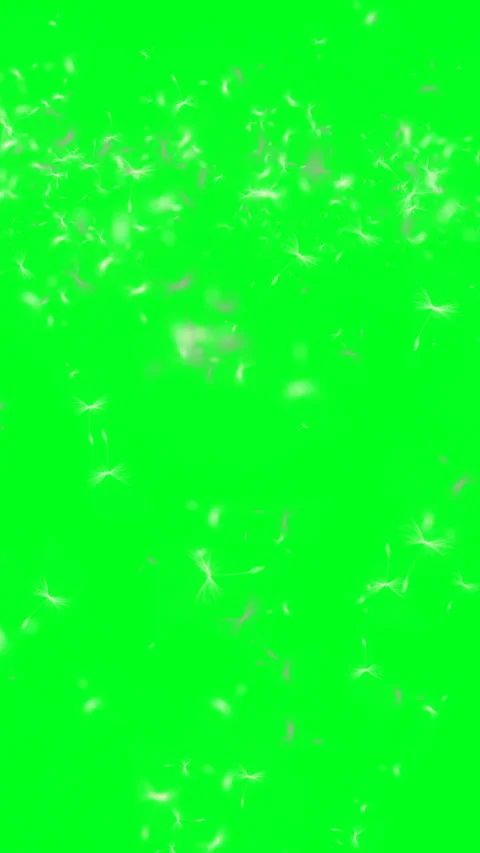 Dandelion Seeds And Cloud On Green Screen vertical video Stock Footage 246771479