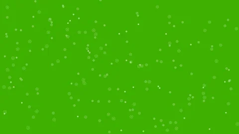 Dandelion seeds floating on green screen overlay 4K Vídeos de archivo 336513595
