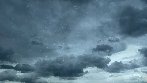 Dandelion seeds flying on background of clouds Stock Footage 76933100