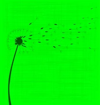 Dandelion Seeds Stock Illustration
