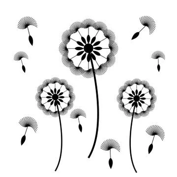 Dandelion with seeds on white background Stock Illustration